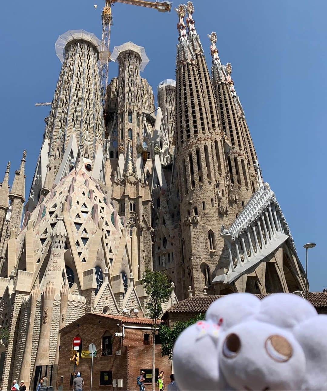 のインスタグラム：「【KUMO-chan World Tour】  憧れの「サグラダ・ファミリア」に初潜入! バルセロナにやっていた KUMO ちゃんは世界遺産にも登録される、ガウディ建築で有名な「サグラダ・ファミリア」や「カサ・バトリョ」を見学👀 大満足の KOMO ちゃんはスタイリッシュな雰囲気とラグジュアリーな空間が融合した、マンダリン オリエンタル バルセロナ @mo_barcelona で贅沢な時間を過ごしました。  KUMO-chan, who came to Barcelona, visited "Sagrada Familia" and "Casa Batllo", famous for Gaudi architecture, and which are also listed as a World Heritage Site. Satisfied, KUMO-chan spent a luxurious time at Mandarin Oriental, Barcelona @mo_barcelona , a fusion of stylish and luxurious spaces. ___________________ #mandarinorientaltokyo #MOtokyo #ImAfan #マンダリンオリエンタル東京 #マンダリンオリエンタル#MandarinOriental #KUMO #ラグジュアリーホテル #luxuryhotel #kawaii #かわいい #mandarinorientalbarcelona #マンダリンオリエンタルバルセロナ #MObarcelona #barcelona #バルセロナ #Spain #スペイン #サグラダファミリア #sagradafamilia #カサバトリョ #casabatllo #世界遺産 #worldheritage #ガウディ #gaudi #ガウディ建築 #gaudiarchitecture」