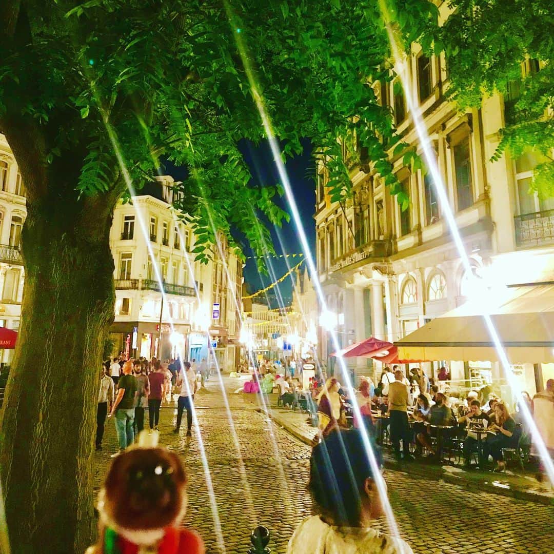 ころのインスタグラム：「ころツーリスト in #ベルギー (#ブリュッセル ) .  こんにちは！ ころと夜のお散歩😊✨✨ 写真で撮ると実際より街がキラキラして見えますね‼️笑 ．  ころの他の写真を見たい方はこちらから！  @koro.dottokoi .  #ころツーリスト #旅 #旅日記 #旅スタグラム #旅すたぐらむ #トラベラー #旅に出たい #旅の記録 #旅好き #旅写真 #旅行好き #旅したくなるフォト #旅フォト #マイトリ #旅行大好き #わんこ #ぬいぐるみ #ぬいどり #ぬい撮り写真部 #マイトリップ #旅の思い出 #旅の思い出 #ぬい撮り #ぬい撮りさんと繋がりたい #ぬいすたぐらむ」