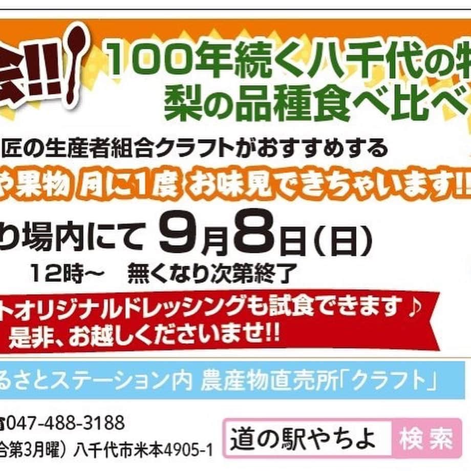 道の駅やちよのグルメインスタ