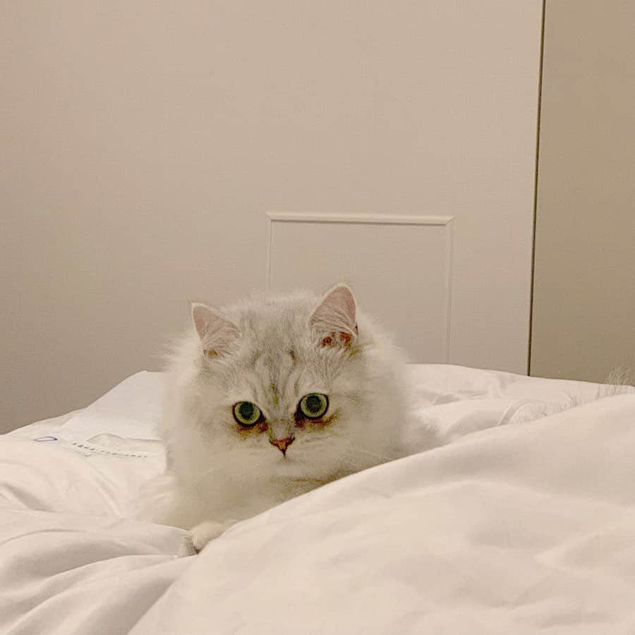 鈴木康代さんのインスタグラム写真 - (鈴木康代Instagram)「↑↓」9月4日 15時25分 - 88_grm