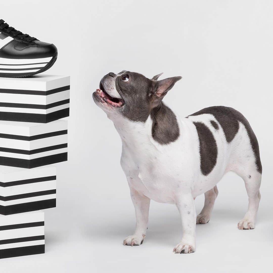 のインスタグラム：「Woof woof for super style on the #HOGAN women's #AW1920 Maxi #H222 #sneakers  Shop #HoganSneakers on HOGAN.COM - link in bio」
