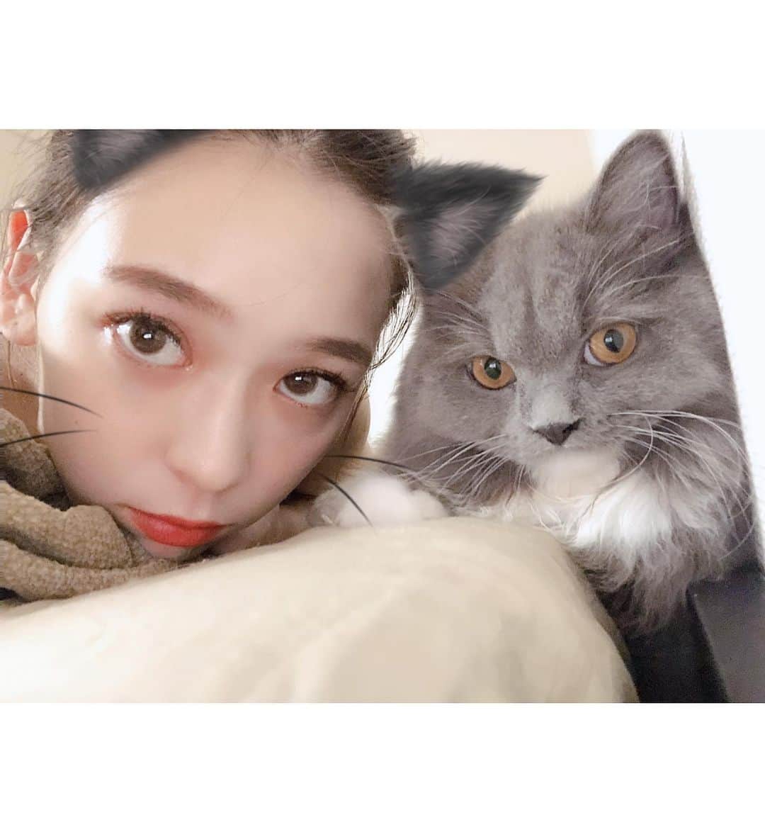 古川貴絵さんのインスタグラム写真 - (古川貴絵Instagram)「１日中猫と過ごした日♡ #cat #catstagram」8月31日 20時13分 - _kiegram