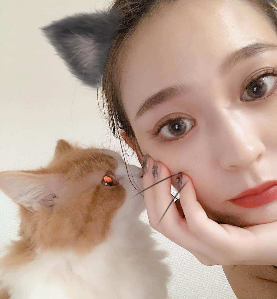 古川貴絵さんのインスタグラム写真 - (古川貴絵Instagram)「１日中猫と過ごした日♡ #cat #catstagram」8月31日 20時13分 - _kiegram