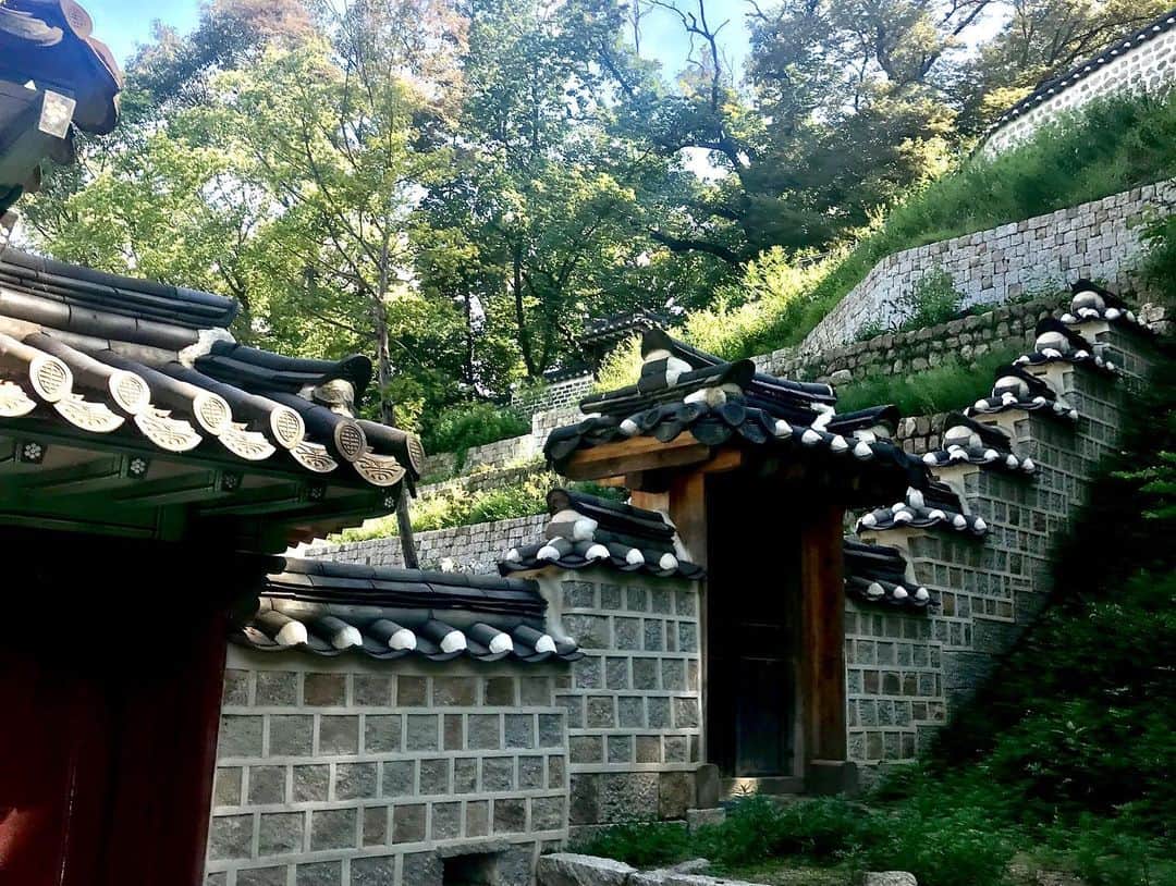 太田エイミーさんのインスタグラム写真 - (太田エイミーInstagram)「Secret Garden, Changdeokgung Palace」8月31日 20時24分 - amyota
