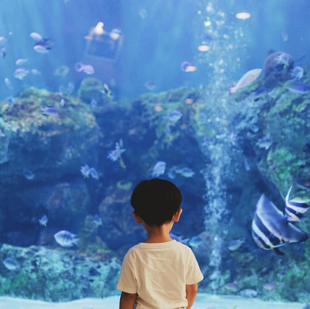のインスタグラム：「「お魚おいしそ〜う❤️」とのこと。」
