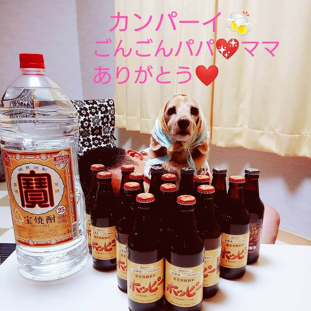 ピックのインスタグラム