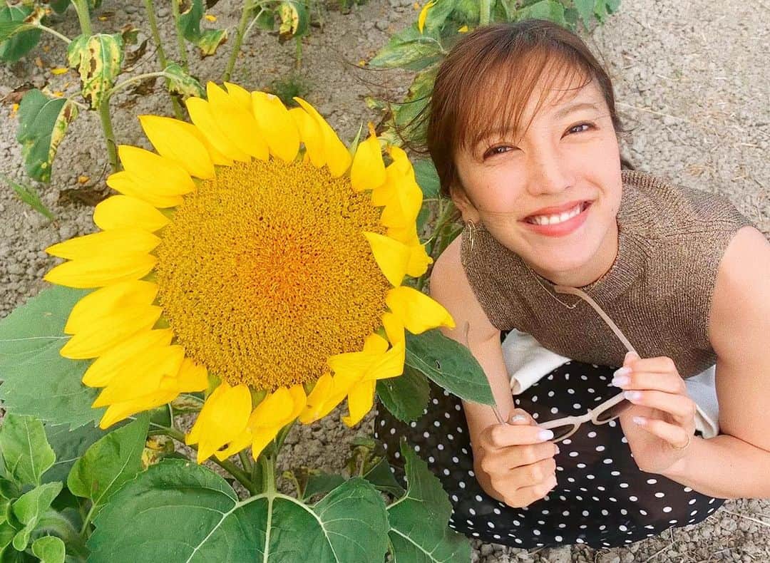 小澤陽子さんのインスタグラム写真 - (小澤陽子Instagram)「𝚒𝚗 𝚙𝚛𝚒𝚟𝚊𝚝𝚎❁  ８月も、今日で終わりなんですね。  元気をくれる ひまわりを、おすそわけ🌻 向日葵のように、前を、上を向いて、 今日もがんばりましょう🌈☀︎ . . 日本のみんなが、平和に過ごせますように。  #顔よりも大きい #だいすきな向日葵 #シェアはぴ #ひまわり #sunflower #🌻 #🕊」8月31日 12時16分 - yoko.ozawa729