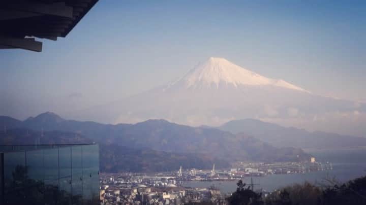 サイモンとマルティナのインスタグラム：「New video up now 🚨 Pack your backpack and hop on the magic school bus 🎒 We’re going back to #Shizuoka for a field trip as we were surprised to learn it’s the Green Tea capital of Japan. Time to steep yourselves in a world of green tea 🍵 A rainbow of green gelatos, mad science kakigori 🧪 custom hand-drip tea, and a look into the meaning of Eco Green Tea farming with a passionate multi-generational tea farmer.」