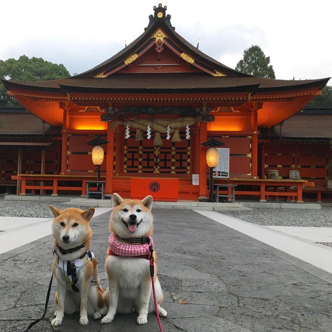 てんパパさんのインスタグラム写真 - (てんパパInstagram)「このくらい浅くて流れ緩やかな方が楽しいみたい。 富士山の湧水、冷たくてきれいで気持ちよかった。 周辺散策、神社参拝、富士宮やきそば #春てん #川遊び強化2019」8月31日 12時56分 - tenchan.shiba
