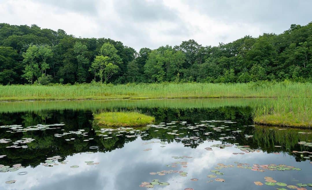 山人のグルメインスタ