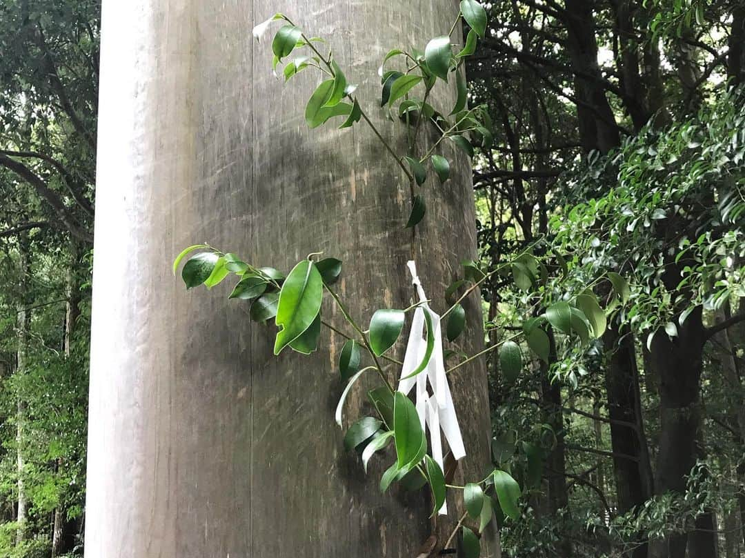 元井美貴さんのインスタグラム写真 - (元井美貴Instagram)「初めての伊勢神宮⛩外宮から内宮へ巡ってきました✨ #伊勢神宮 #お伊勢参り #外宮 #内宮 #三重県 #伊勢市 #SantuariodeIse #IseShrine #日本の景色 #paisajejapones #亀さん #tortugita」8月31日 14時14分 - mikimotoi