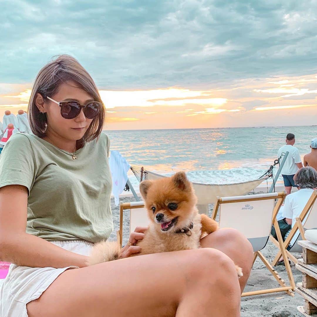 のインスタグラム：「今日で海の家終わりってことで急遽 #一色海岸 に行ってきた🥺⛵️. . サンセットも見れたしもんじゃもたくさん遊んで海にも入ったし楽しかった❤️❤️. . 風が夏の終わりな感じがして切なかったけどそれもまた良き🤟💯. . どーでもいいけどシャインマスカット食べたい🍇. . #一色海岸海水浴場#葉山#海の家#今日のもんじゃ#もんじゃ#愛犬#休日の過ごし方#最高かよ  edited by @haneypresets」