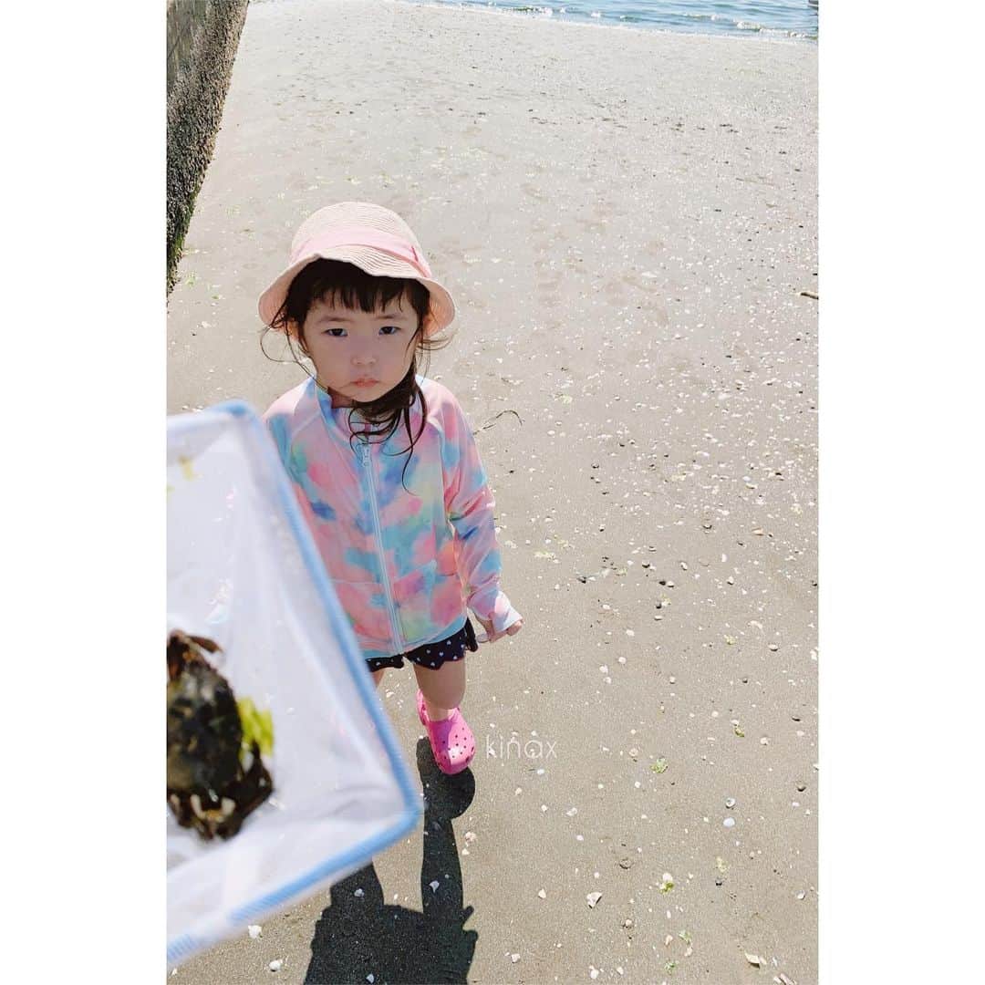 kinaxのインスタグラム：「. good afternoon(๑′ᴗ‵๑)☀in Japan, and good morning, good evening, good night for world friends! . 8月最後の今日もいいお天気☀️ . 今日はちびっこ姉さんがパパとお出掛けしたので むちこさんとお留守番を🏡 . なにしようかーと思っていたら 窓から潮が引いてるのが見えたので磯遊びに🐚 . . ヤドカリやらカニやらをいっぱい捕まえていたら 潮が満ちてきたのでそろそろ帰ろうーって言ったけど まだ遊び足りなくてこのお顔ʕ •́؈•̀ ₎笑 . ただ、以前に比べて 最初に「帰るよーって言ったらおしまいだよー」 って伝えただけで すんなり戻ってこれるようになって 駄々をこねたりすることが だいぶ減ったよʕ •́؈•̀ ₎♡ . 成長していて素晴らしいねぇ♡ . . それからそれから いつもちょっとしたことで小競り合いになる むちこさんとちびっこ姉さんだけど (大抵一方的にむちこさんが荒れるのだけど) やっぱりいないと寂しいみたいで 「ねね、いないねぇー」 って言うので 一緒に来たかったねぇー お姉ちゃんいないと寂しい？って聞いてみたら 「ねね、しゅち！さみしいねぇー」 だってʕ •́؈•̀ ₎♡ . . 今度またみんなで磯遊びしようねー♡ . . みんなも素敵な1日を♡ . . #親バカ部 #磯遊び #赤ちゃんカニ #ヤドカリが好きらしい #保護猫 #パステル兄弟 #ルナとソル 2019/08/31」