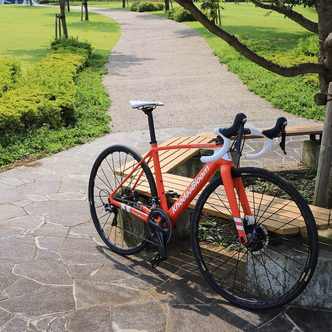 KhodaaBloomのインスタグラム：「「FARNA PRO AERO DISC」はディスクブレーキを搭載することでの低重心化による安定感の向上や全天候への対応、ブレーキブリッジを廃することで快適性の向上を実現。加えて、スルーアクスルシステムを採用することで車軸に高い剛性と強度を確保し、レースのシビアなカーブにもより意のままに走るバイクとなりました。ディスクブレーキによる単なる重量増加を物ともしない、高い走行性能を「FARNA PRO AERO DISC」は獲得しました。 日本人の脚にあった「レーシングディスクロードバイク」として「FARNA PRO AERO DISC」は誕生したのです。  #khodaabloom #コーダーブルーム #FARNA　#FARNAPROAERODISC」