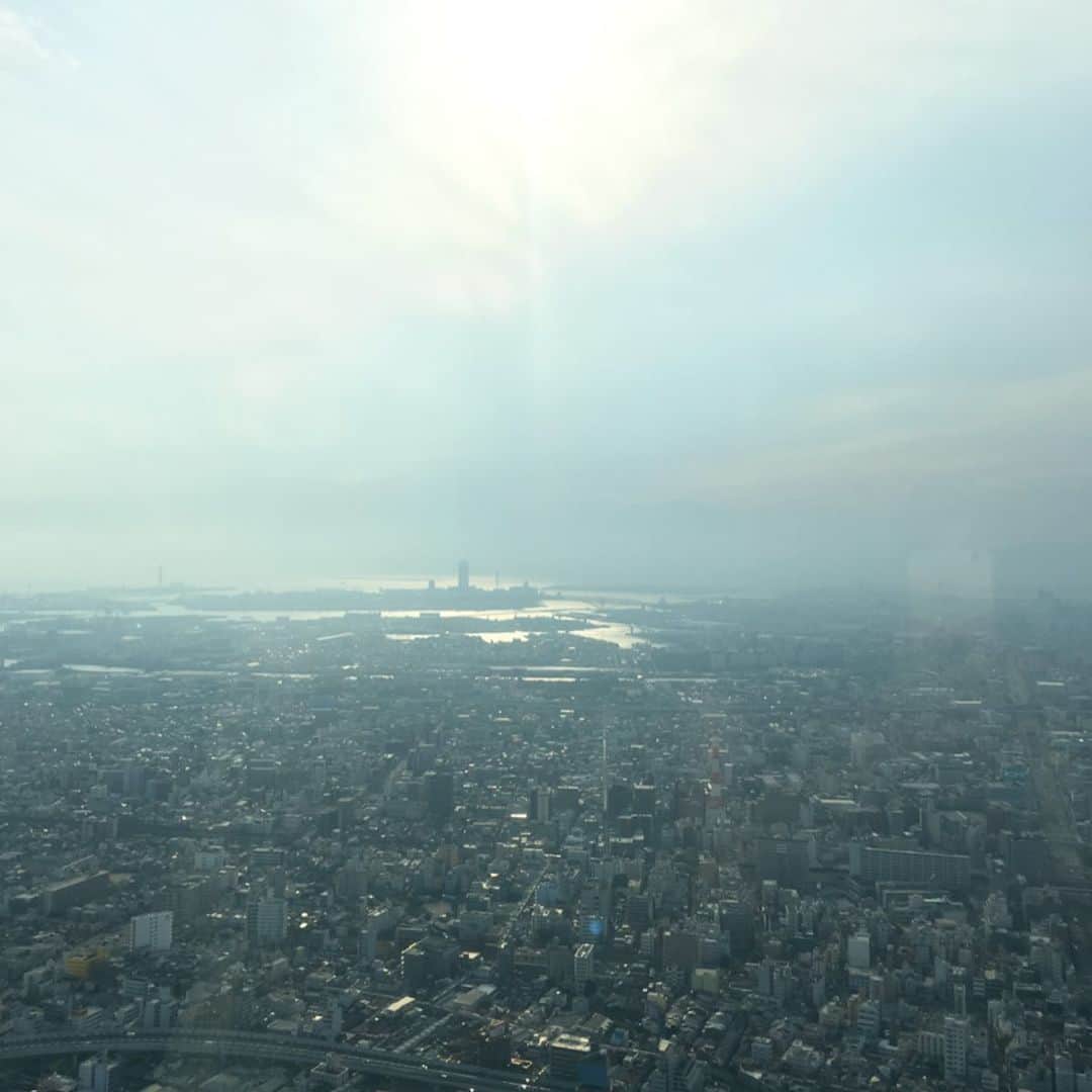 大島央照さんのインスタグラム写真 - (大島央照Instagram)「先週、やーちゃんとTHEXXXXXX の展覧会後に行ったハルカス。ハルカスウイング館屋上に神社があって、先日見た映画「天気の子」を連想した。そこからそびえ立つハルカスを見てテンションが上がり気味で300メートルある最上階へ。大阪をこんなに高くから見たのは初めてで、すごい都会なんやと、改めて驚きと感動していました。やーちゃん（できやよいちゃん）は現代アーティストで、私が写真をやり始めたころに、やーちゃんの写真をたくさん撮影していて。それが自分の写真の原点にもなっていて思い出がいっぱい！こうして月日が経っても会えて嬉しかったです😆✨ そして、THE XXXXXX @x.x.x.x.x.x_official 展覧会は明日最終日です。たくさんの方々に見ていただけますように✨😊 #ハルカス #大阪 #24時間テレビ #募金#yayoideki #できやよい #絵描き #thexxxxxx #ザシックス #タワレコ #タワーレコード #展覧会 #towerrecords #exhibition #osaka #写真 #photo #photography  #art #thanks #happy #感謝」8月31日 16時38分 - chiakioshima