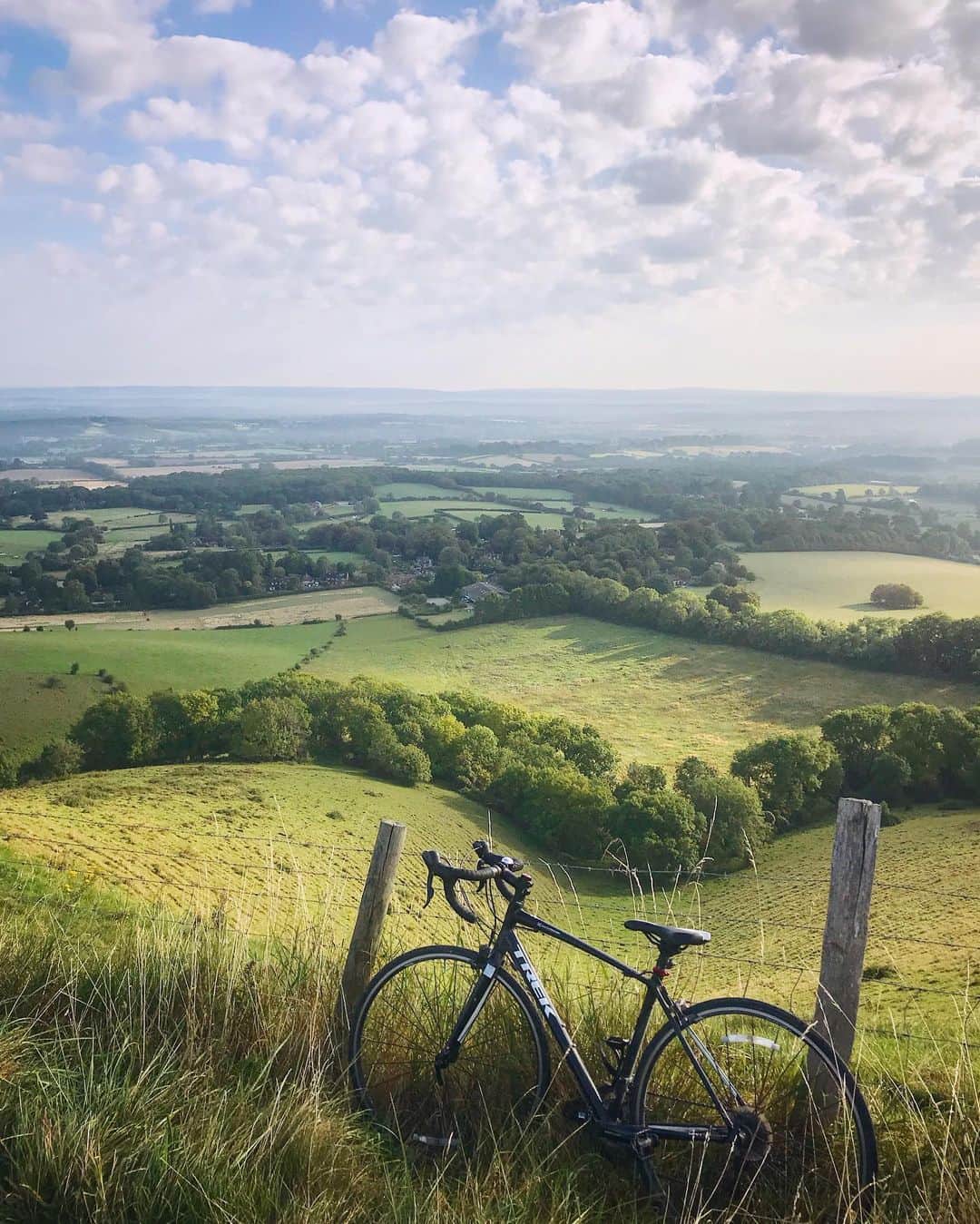 Tea and sittingのインスタグラム：「I love this swoop so much! 🚲...🌳🍃 #parkedbikesoftheworld #5ftinfbike」