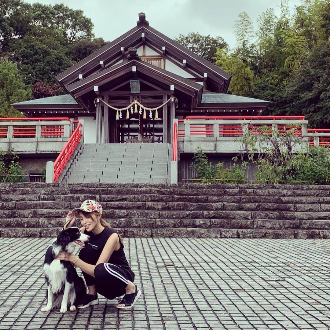 渡部いずみさんのインスタグラム写真 - (渡部いずみInstagram)「ハラミ〜🐼ペットok神社に🤩PINCHERペットシャンプーで洗ったから臭くない💛😌🤲 #ハラミ#dog#犬#ペット#しつけ#アシマリ#女の子#ボーダーコリー#竹内結子#beauty#避妊完了#神祇大社#伊東市#fr2」8月31日 16時46分 - pincher__izumi