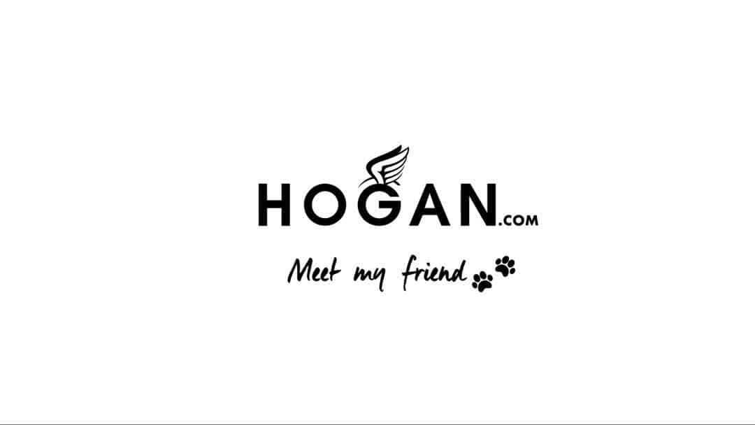 のインスタグラム：「Say hello to Beatrix the French Bulldog and the #HOGAN women's #AW1920 Maxi #H222 #sneakers Shop #HoganSneakers on HOGAN.COM - link in bio」