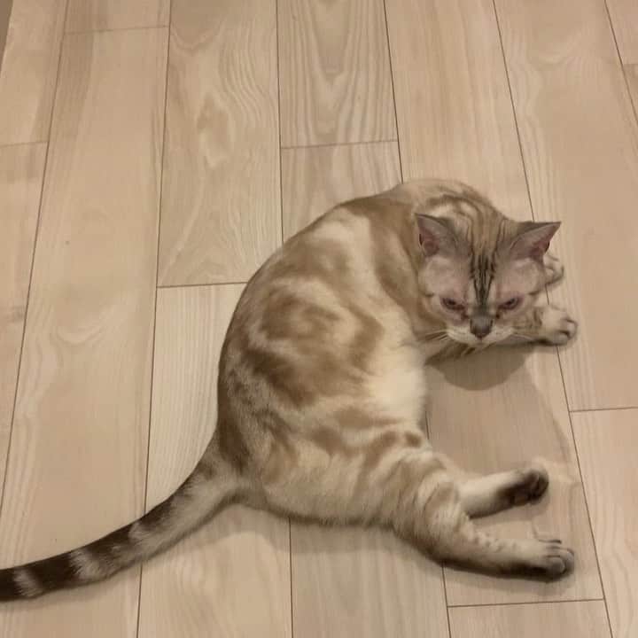 青山有紀のインスタグラム