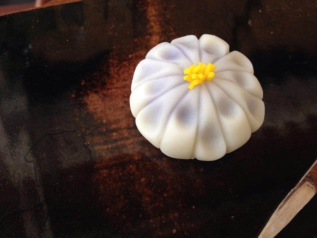 のインスタグラム：「Chrysanthemum have a noble fragrance and we have been loved them as perpetual youth and longevity flowers for a long time. The chrysanthemum flowers bloom this month, we decorate them and celebrate longevity with a nice fragrance. #chrysanthemum #toiro_wagashi #september #wagashi #japanese #art #dessert #cake」
