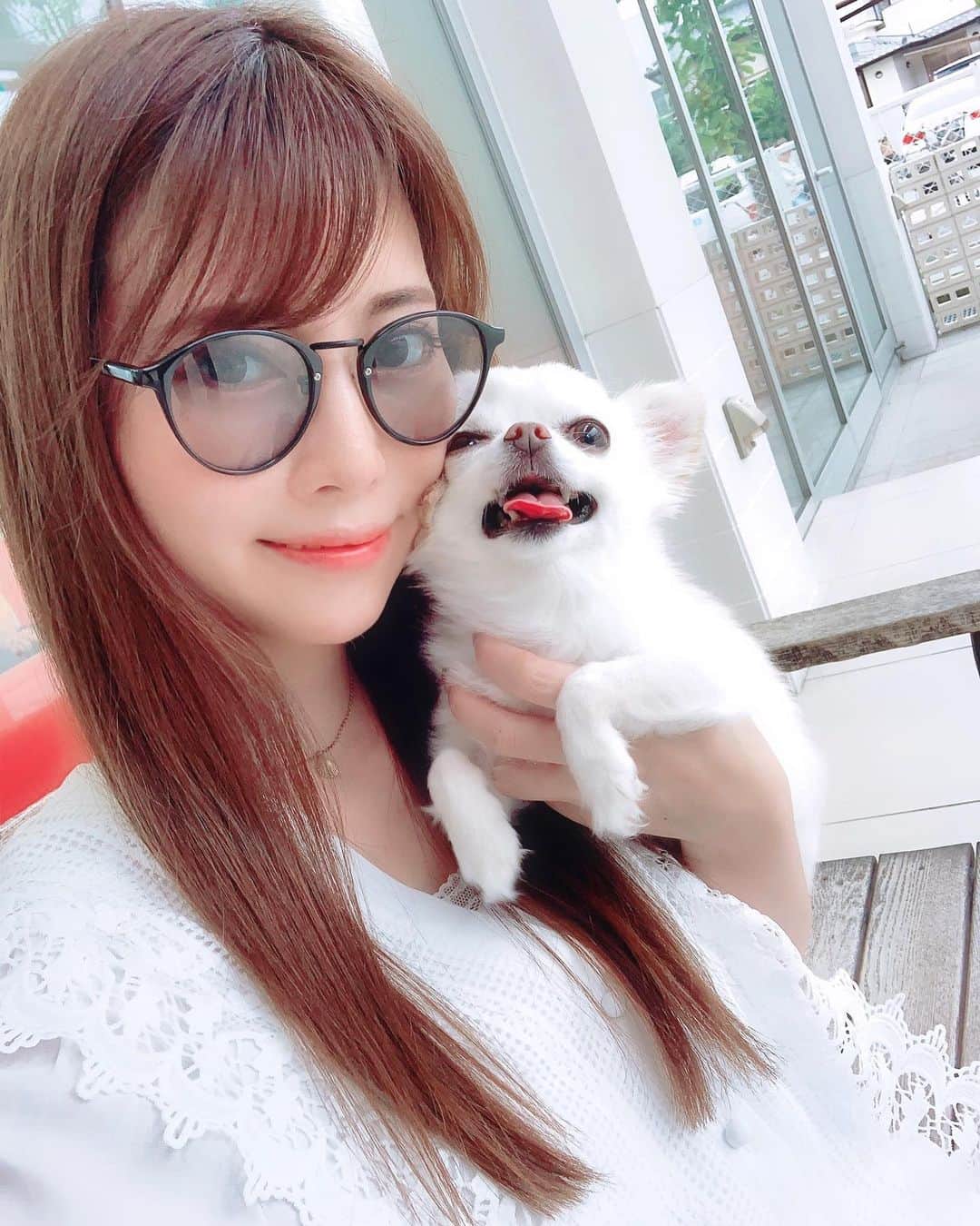 のインスタグラム：「みみちゃんが ご飯食べないので動物病院へ🐶  健康そのものなので、整腸剤だけもらいました💫  おやつやガムとかは食べるから、 好き嫌いが年々激しくなってます…😥 ・ トップス @j023.official サングラス @soleil_jewelry1995  私が着けてるサングラス、 300円クーポン券発行して頂きました💕 クーポンNo.「SOLIL2019」 ・ ・ ・ ・ ・ ・ ・ ・ ・ ・ ・ #多頭飼い#動物病院#チワワ#愛犬#8歳#極小チワワ#ちわわ#チワワラブ#ちわわなしでは生きていけません会#ちわわ親バカ部#ちわわ多頭飼い#ちわわ大好き#ちわわ部#ちわわせ#ちわわん#ブラウス#カジュアル#カジュアルコーデ#サングラス#いぬすたぐらむ#ファッション#休日コーデ#今日のコーデ#夏コーデ#お洒落#モデル#インフルエンサー#撮影モデル#サロモ#サロンモデル」