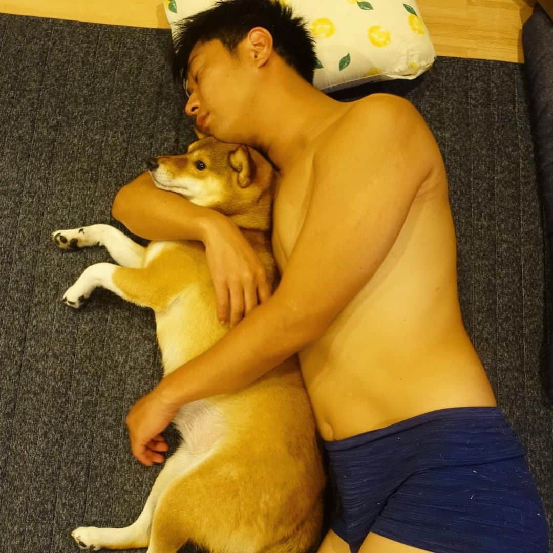 尾形貴弘さんのインスタグラム写真 - (尾形貴弘Instagram)「もうミクが犬に思えない。。。 完全に男と女です。  #柴犬大好き #柴犬マニア  #愛犬  #赤柴 #しばけん  #しばちゃん  #しばいぬ大好き  #shibainu  #shiba_snap  #犬ばか部  #いぬばか部 #ミク #三九 #39 #パンサー尾形 #赤ちゃん #赤ちゃんのいる暮らし #赤ちゃんと犬 #1歳5ヵ月 #サンキュー #ママリ #ベビフル」8月31日 18時30分 - miku3_miku_9