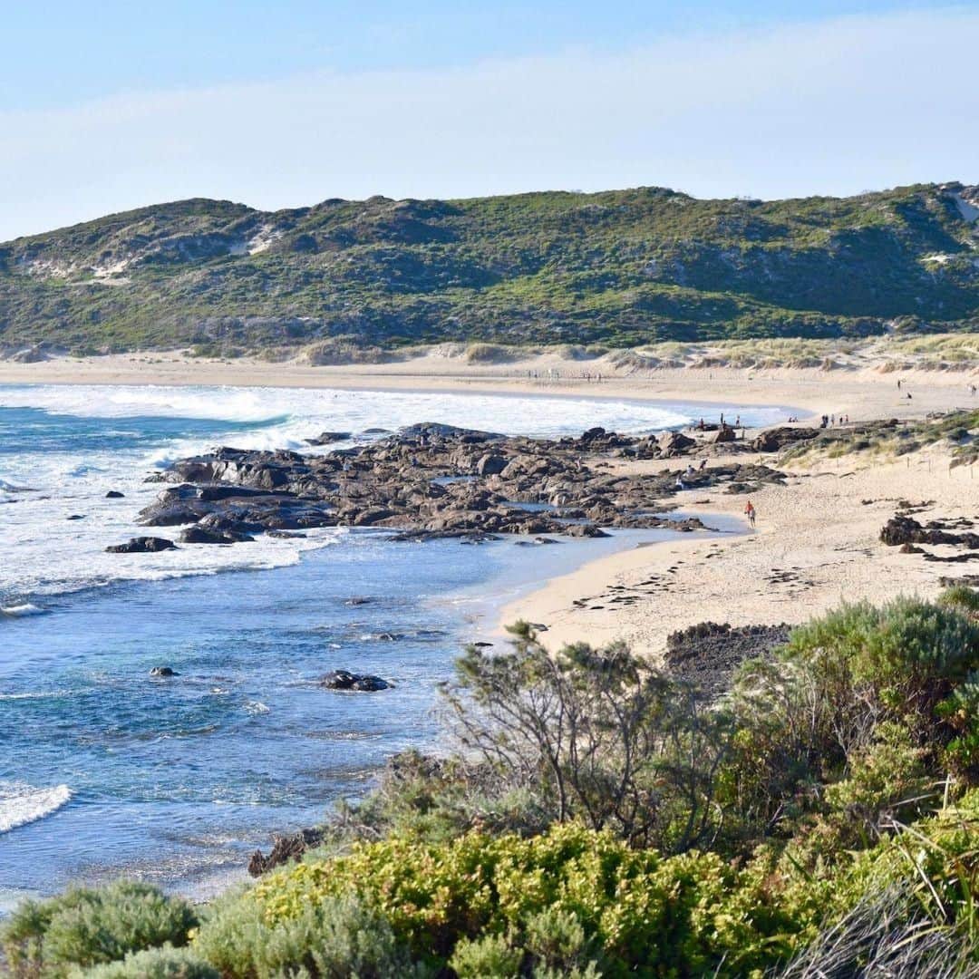 Lonely Planetのインスタグラム：「This weekend's takeover comes from Hayley of @alovelyplanet, who will be sharing pictures from Margaret River and Southern WA – our #BestinAsiaPacific destination for 2019. – ‘I’ve lived in #Australia for almost three years now, and have spent quite a bit of time exploring the country. Margaret River has really stolen my heart and is somewhere I keep returning to. It’s such a beautiful spot, with great wineries, stunning beaches and incredible surf. This is Prevelly on the Cape to Cape Track, which is a 135-kilometre hike along the coastline. It’s Australia’s longest coastal walk and takes around six or seven days to complete.’ – @alovelyplanet -- Keep an eye on our feed this weekend for more, and tap our link in bio to find out why Margaret River and Southern WA topped our list!」