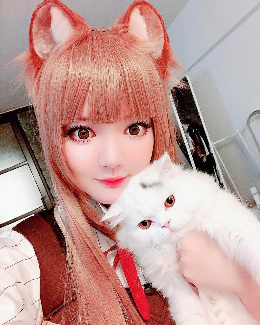 YingTzeさんのインスタグラム写真 - (YingTzeInstagram)「Just me and my cat Lancelot ! 🐈❤️✨ Didn’t take much selfies today other than the ones I took at home before event ! 😂 _ Thank you so much for visiting my Booth CA30 today ~ all my prints are sold out ! But I will bring the last set of prints and some leftover prints from previous event. ( will post on my IG Story later ).❤️ Photobook , Calendar and Polaroids are still available ! Tomorrow I’ll cosplay Saber Nero ! 🥰❤️ See you ! Now heading home to feed my cats then have my first meal of the day ! 😂 p/s : Thanks for all the compliments for my Raphtalia Ears ~ it’s from @littleluxies ✨👌🏻 #blessed #catsmalaysia #raphtalia #risingoftheshieldhero」8月31日 19時02分 - yingtze