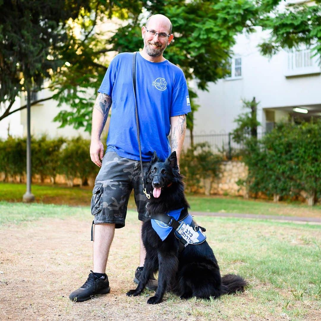 The Dogistさんのインスタグラム写真 - (The DogistInstagram)「Luna, Belgian Tervuren, Neve Eli’ezer, Tel Aviv, Israel • “I didn’t know I had PTSD for 10 years. I was told I was crazy. When I was 19 years old I was a tank commander and we got hit with a missile. My driver died, my gunner lost his hand, and I sustained multiple injuries and almost lost my leg. I had to pick up my friends’ burned body parts. PTSD attacks can be half an hour or eight hours – Luna warns me and signals that I need to breath. I currently don’t know where my car is but I can tell Luna to take me to my car. She’s one of the only things I recognize during an attack. When I get disconnected I don’t recognize my parents. Until two years ago having an assistance dog in Israel was not possible. You had to get an ADI certificate abroad. If you look at the United States you have 130 dogs working for a hospital, 10 at a time. The suicide rate among veterans with PTSD is increasing, so we’re working to train more service dogs and educate people. Today we’re working with children on the spectrum and with physical conditions. At the hospital clinics you can have all of the state of the art tech, like VR, and it costs millions of shekels. Luna does it all for a bag of sausages.” @tzlilmeitar」9月1日 6時28分 - thedogist