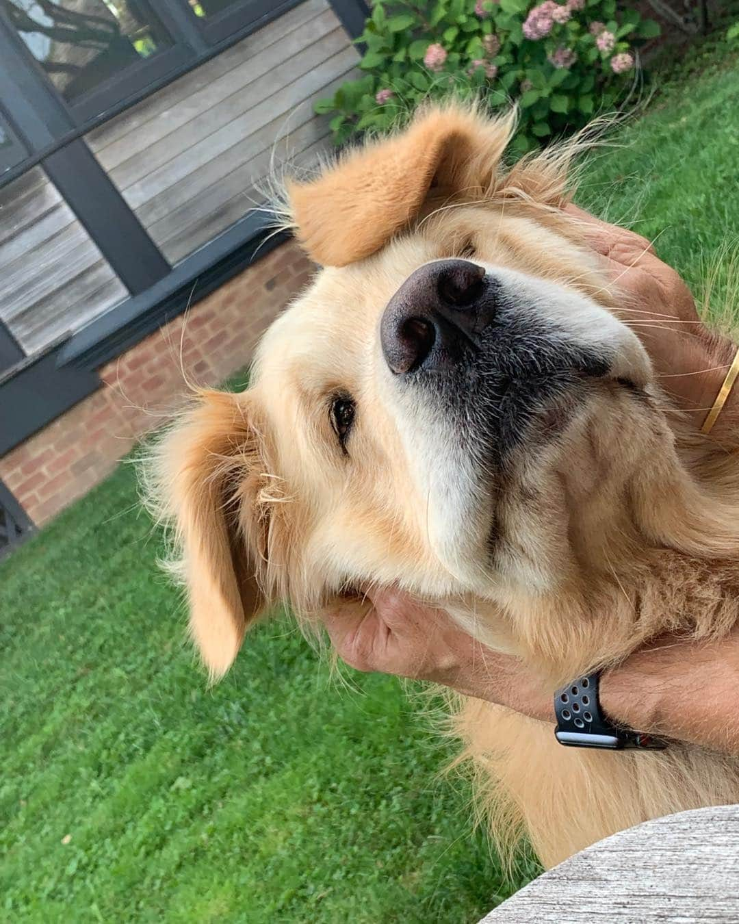 ブルース・ウェーバーさんのインスタグラム写真 - (ブルース・ウェーバーInstagram)「Bonito saying hi to Zac-always/ so happy to  see his pals - Montauk」9月1日 4時54分 - bruce_weber