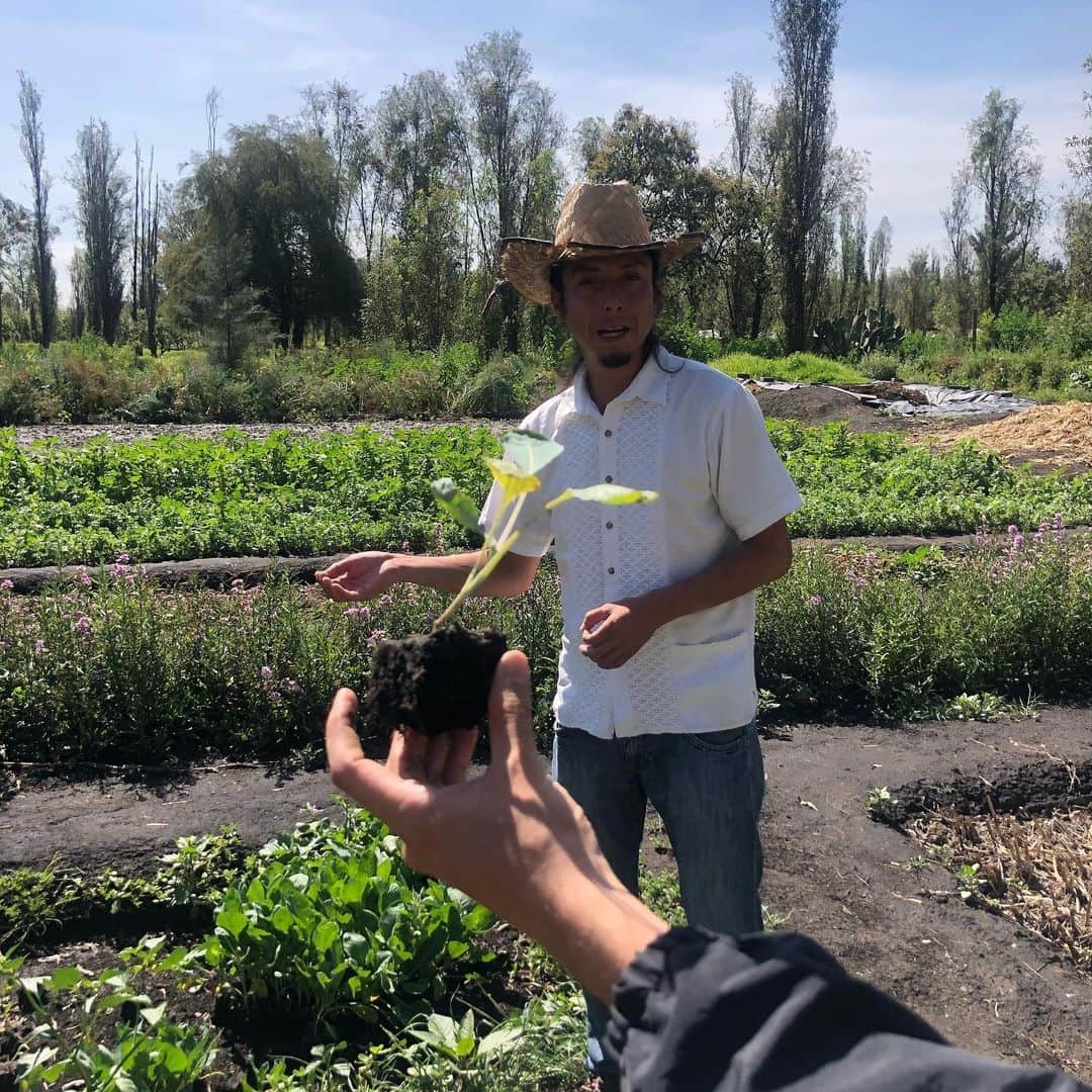 レベッカ・ウィソッキーさんのインスタグラム写真 - (レベッカ・ウィソッキーInstagram)「Wonderful visit to #xochimilco with our friend @ubishyaren to learn about all the important work being done at #Threshold for sustainable farming and the amazing #axolotl !! #CDMX」9月1日 5時39分 - rebeccawisocky