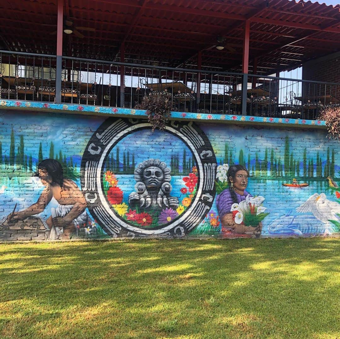 レベッカ・ウィソッキーさんのインスタグラム写真 - (レベッカ・ウィソッキーInstagram)「Wonderful visit to #xochimilco with our friend @ubishyaren to learn about all the important work being done at #Threshold for sustainable farming and the amazing #axolotl !! #CDMX」9月1日 5時39分 - rebeccawisocky