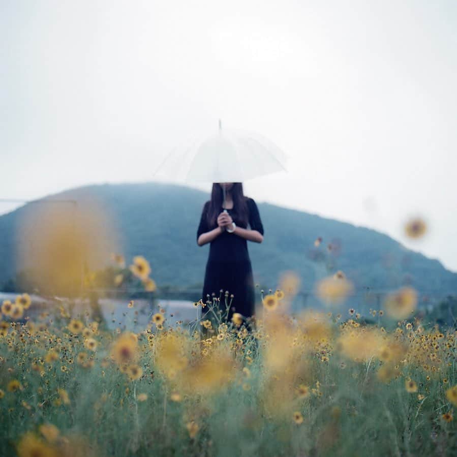 haraoのインスタグラム：「雨なのか晴れなのか」