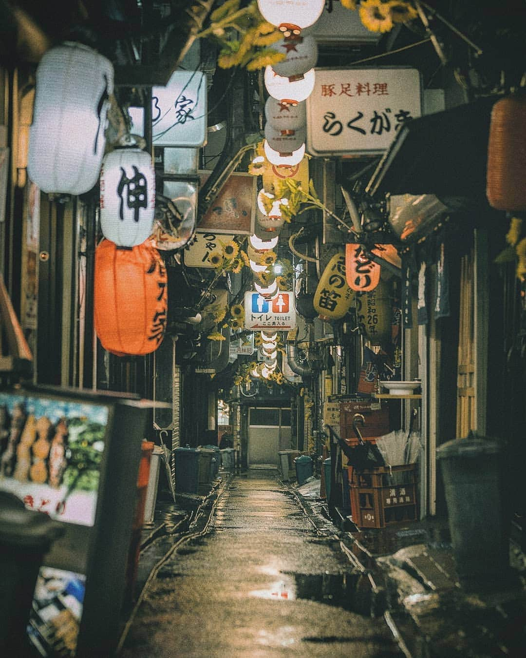 Berlin Tokyoさんのインスタグラム写真 - (Berlin TokyoInstagram)「Tucked away from the city bustle, the lantern-filled alley invites you for an evening tipple in nostalgia. . . . #hellofrom #tokyo #japan」8月31日 21時51分 - tokio_kid