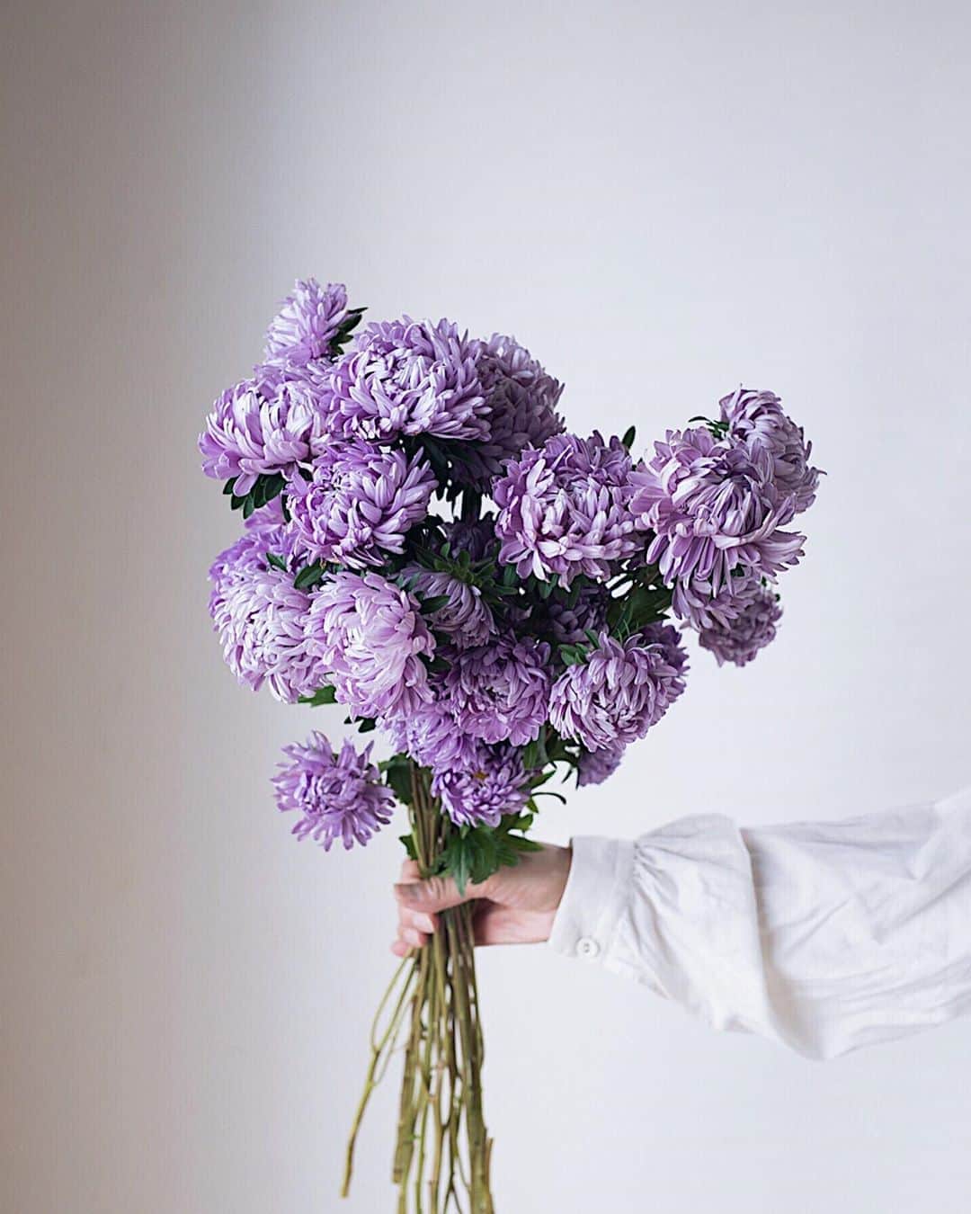 のインスタグラム：「Late summer flowers💜Happy weekend everyone! #aster アスター“マッシュラベンダー” 🌿 9月開催のイベント「花と器のみたて会」では、会場となるオルネドフォイユさん @ornedefeuilles の店内を花で飾らせていただきます。 まるでパリジェンヌのアトリエのような素敵な空間を秋色の草花、果樹で彩ります。 : : 「花と器のみたて会」 イベント日程 9/20(金)12:00〜18:00 9/21 (土)11::00〜18:00 9/22(日)11::00〜18:00  場所：不動前 Orné de feuilles　オルネ　ド　フォイユ」