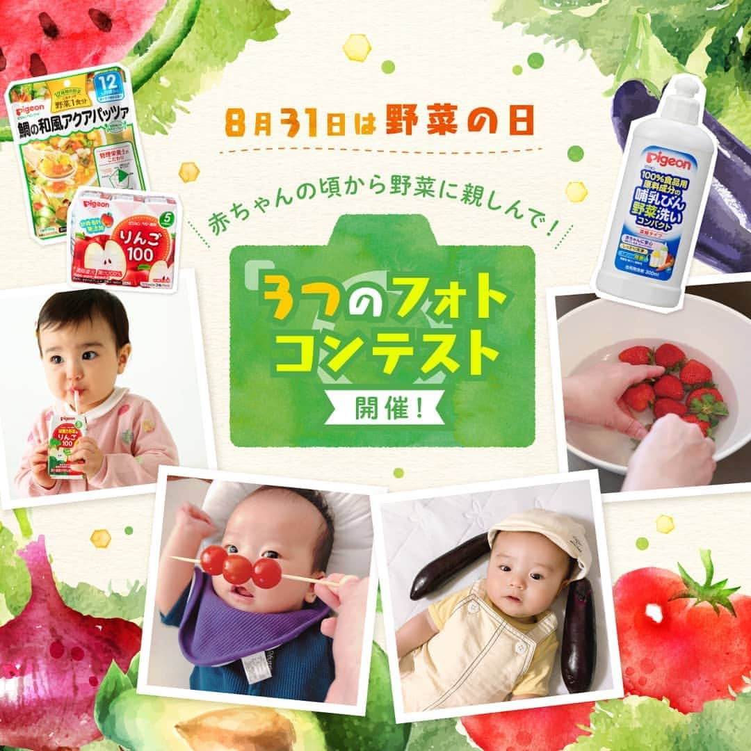 ピジョンさんのインスタグラム写真 - (ピジョンInstagram)「【野菜の日🍅プレゼントキャンペーン✨もうちょっとpostくださーい🍆※終了しました】今日8月31日は「野菜（831）の日」！ ・ ・ ・ 赤ちゃんの時から野菜に親しんでもらうキッカケになりますようにと願い、#ピジョン野菜の日応援 キャンペーンを開催しています🎵・ ・ ・ 「#ピジョン野菜の日応援 」と投稿テーマに合わせたハッシュタグをつけて、可愛い赤ちゃんの写真をInstagramかTwitterに投稿するキャンペーンです❤️ ・ ・ テーマは、 1️⃣「#ベビタブル 」 2️⃣「#野菜を洗ってみた 」 3️⃣「#野菜を食べてみた 」 の3つ。  野菜も洗える洗剤、哺乳びん野菜洗いを使って野菜を洗おうという「#野菜を洗ってみた 」テーマが一番苦戦するかなーと思ってんですが。  思った以上に素敵なpostが沢山で嬉しい限りです😆  皆さま、メーカーエゴなテーマにお付き合いいただき、ありがとうございます(笑) ・ ・ ・ 意外にちょっと少なめかな？と思うのが、「#野菜を食べてみた 」テーマ🥒  野菜を使ったピジョンのベビーフード、おやつ、飲料の写真や食べたり飲んだりしているお顔を投稿するテーマ。  こちら一部選出させていただき、ピジョンのWebサイトやSNSに掲載します！ だから、もうすこーしpostいただきたいなーと思ってます✨ぜひぜひ💕  キャンペーンにご参加いただいた方の中から 8(や)+3(さ)+1(い)=12名様に🙌  赤ちゃん時代の思い出になる💕 ピジョン「野菜の日」キャンペーン特製キャンバスパネルと、ピジョン商品5000円相当とセットでプレゼントします✨🎁✨・ ・ ・  キャンペーンは9月10日（火）AM10時まで。 家族で楽しく写真の撮影を楽しんでいただき、短い赤ちゃん時代の幸せな思い出が増えれば嬉しいです🎵😍🎵・ ・ ・ ※キャンペーンの応募受付は終了しました。沢山のご応募ありがとうございました！ ・ ・ ---------- #赤ちゃん #ベビー #離乳食 #離乳食プレート #離乳食作り #野菜 #記念写真 #赤ちゃんのいる生活 #赤ちゃんのいる暮らし #赤ちゃんのおやつ #赤ちゃんせんべい #ピジョンベビーフード #哺乳びん野菜洗い #フォトコンテスト #写真コンテスト #赤ちゃんモデル #ベビーモデル #ピジョン  #野菜の日終わりそうな時間 #スミマセン #野球が長引きまして← #慌てすぎて野菜の日なのに明石焼きの写真をあげそうになったなう ---------- 【応募に際してご注意ください】 ・ ・ ・本キャンペーンのご応募にはInstagramまたは Twitterアカウントが必要です。選出のため、公開アカウントでの投稿をお願いします。・ ・ ・#ピジョン野菜の日応援 と指定テーマのハッシュタグが付いていないご応募は無効となります。 ・受賞者様へのご連絡は9月下旬までにInstagramまたはTwitterのダイレクトメッセージにてお送りさせていただきます。・ ・ ダイレクトメッセージをお届けできない場合は、受賞および賞品の受け取り権利が失効となりますのでご注意ください。アカウントのフォローを外されますとダイレクトメッセージが届かない場合があります。・ ・ ・賞品のお届け先入力フォームは選考後ダイレクトメッセージにてお送りいたします。期日までにご入力いただけない場合、賞品受け取りの権利が失効となりますのでご注意ください。・ ・ ・賞品の発送は日本国内に限らせていただきます。」8月31日 22時37分 - pigeon_official.jp