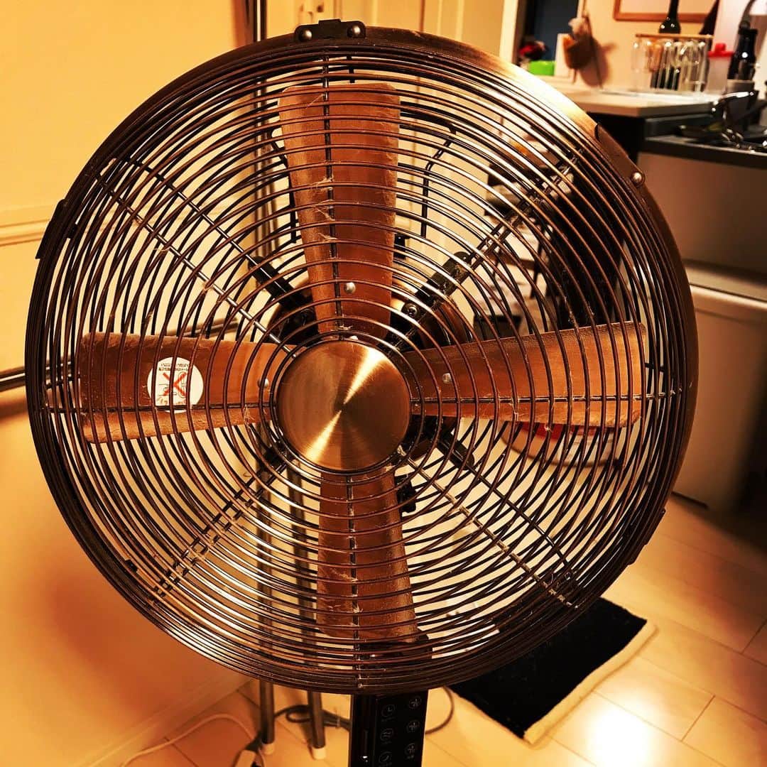 のインスタグラム：「このタイプの扇風機、埃がやたらたまるんですが上手な掃除方法知ってる方教えてください🧹 #おしゃれ扇風機 #なんはええけど #どんだけほこりたまんねん」