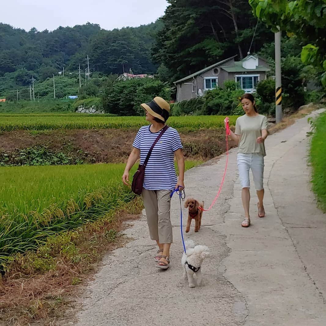 カン・ソラのインスタグラム：「#산책타임 #신난다 #와아 #excitedpuppy」
