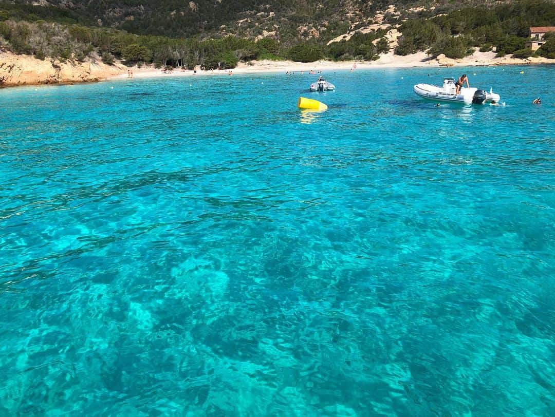 ルーカス・グラビールさんのインスタグラム写真 - (ルーカス・グラビールInstagram)「Islands. They're pretty neat. First wild boar sighting! Snorkeling in the clearest water I've ever seen. Drawing and relaxing at the pool. Check.」8月31日 22時47分 - mrgrabeel