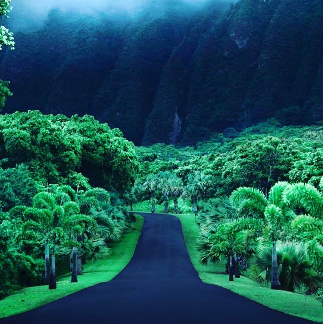 デレク ラムのインスタグラム：「Nature is the greatest colorist. #hawaii #oahu #greenearth」
