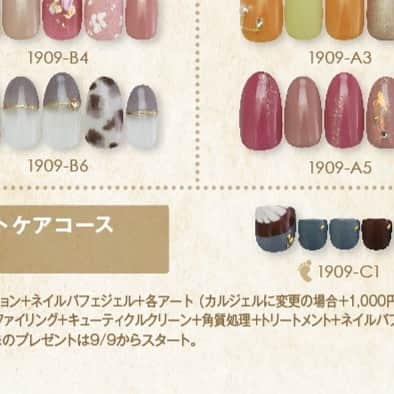 のインスタグラム：「🔊 2019年9月、10月のジェル定額のご案内です🦊⑤ Gel Special Art Designs For September and October ﻿﻿﻿﻿ クリーム玄米ブランさんとのコラボレーションネイルがジェル定額に🐻🌾 . コラボデザインネイル💅🏻して 同じカラーのブラウニーをゲットしてください🙌🏻 コラボキャンペーン内容はこちら▶︎https://www.nailquick.co.jp/campaign/brownie/ ﻿﻿﻿﻿. @nailparfaitgel﻿﻿﻿﻿ ネイルパフェジェル カラー変更無料🏳️‍🌈 200色以上からお選びいただけます🥳﻿ ⠀⠀⠀⠀⠀﻿﻿﻿ #ネイルサロン #ネイルクイック﻿﻿﻿﻿ ﻿﻿﻿﻿ ﻿﻿﻿ ﻿﻿﻿ #ジェルネイル #定額ネイル #ネイルデザイン #コラボネイル #ブラウニー #限定デザイン #秋ネイル #ネイルアート #シンプルネイル #ネイル #ネイルデザイン #ハンドネイル #オフィスネイル #ネイルパフェジェル #フットネイル #ネイルケア #nail #nailsalon #nailquick #gelnail #naildesigns #nailparfaitgel #nailart #simplenails #nails #Autumn #brownie #nail #젤네일 #美甲」