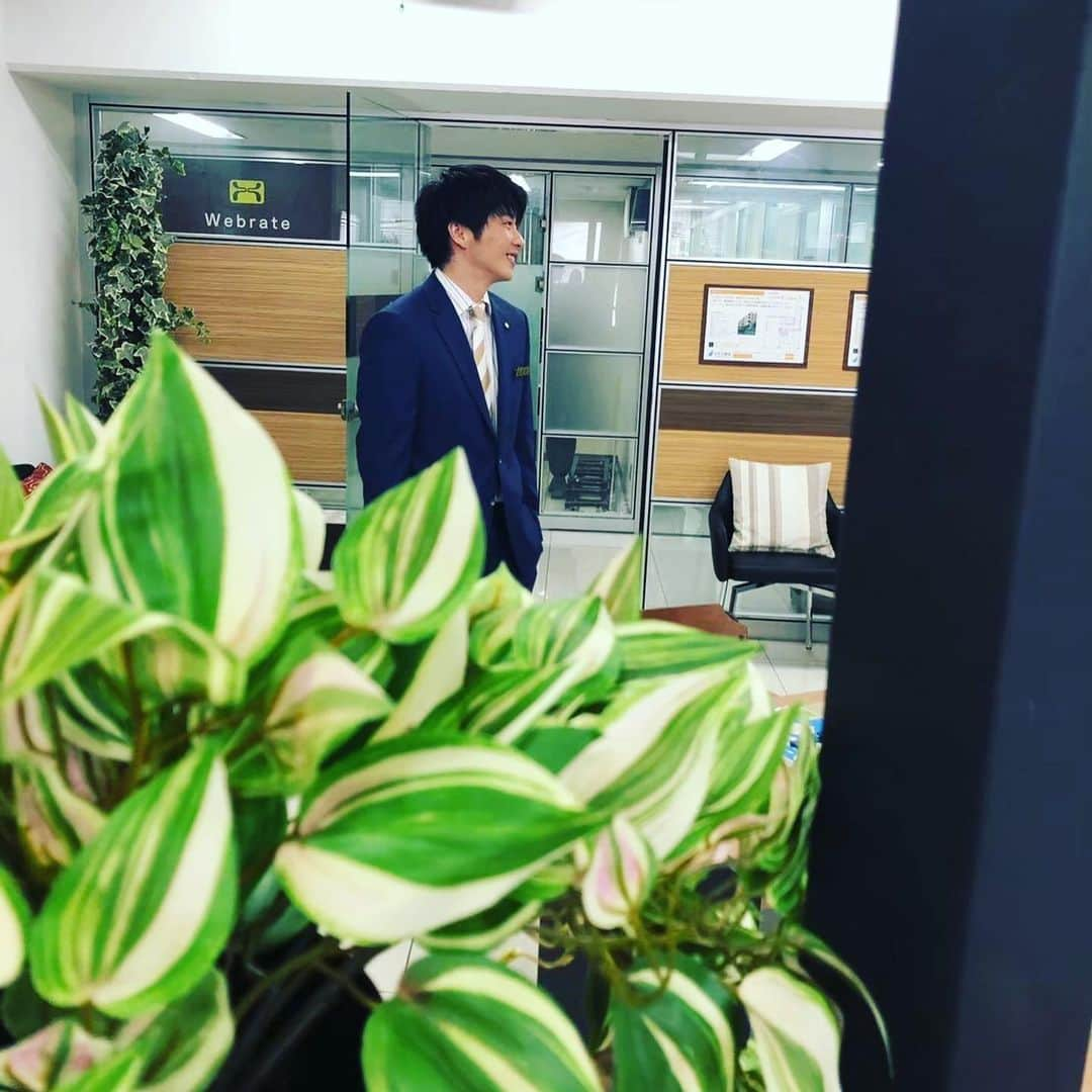 おっさんずラブ 武蔵の部屋さんのインスタグラム写真 - (おっさんずラブ 武蔵の部屋Instagram)「観葉植物ごしの、はるぽん🌿 #上司の欲目というやつかもしれないが #俺の目に彼は #頼りない緑の絨毯にちょこんと現れた #親指姫のように見えてしまった🧚‍♂️ #可愛くて可愛くて可愛すぎて #彼は俺の世界を #決定的に変えてしまったんだ‼️ #愛にできることはまだあるかい‼️ #僕にできることはまだあるかい‼️ #というわけで #先ほど主任の武川君にはるぽんの交際関係をそれとなぁ〜く確認したところ #なぜか眉根を寄せて無言でした #なんで❓ #これはもう #本人確認するしかないでしょうか #みんなオラに力を分けてくれ🔥」8月31日 23時15分 - musashis_room