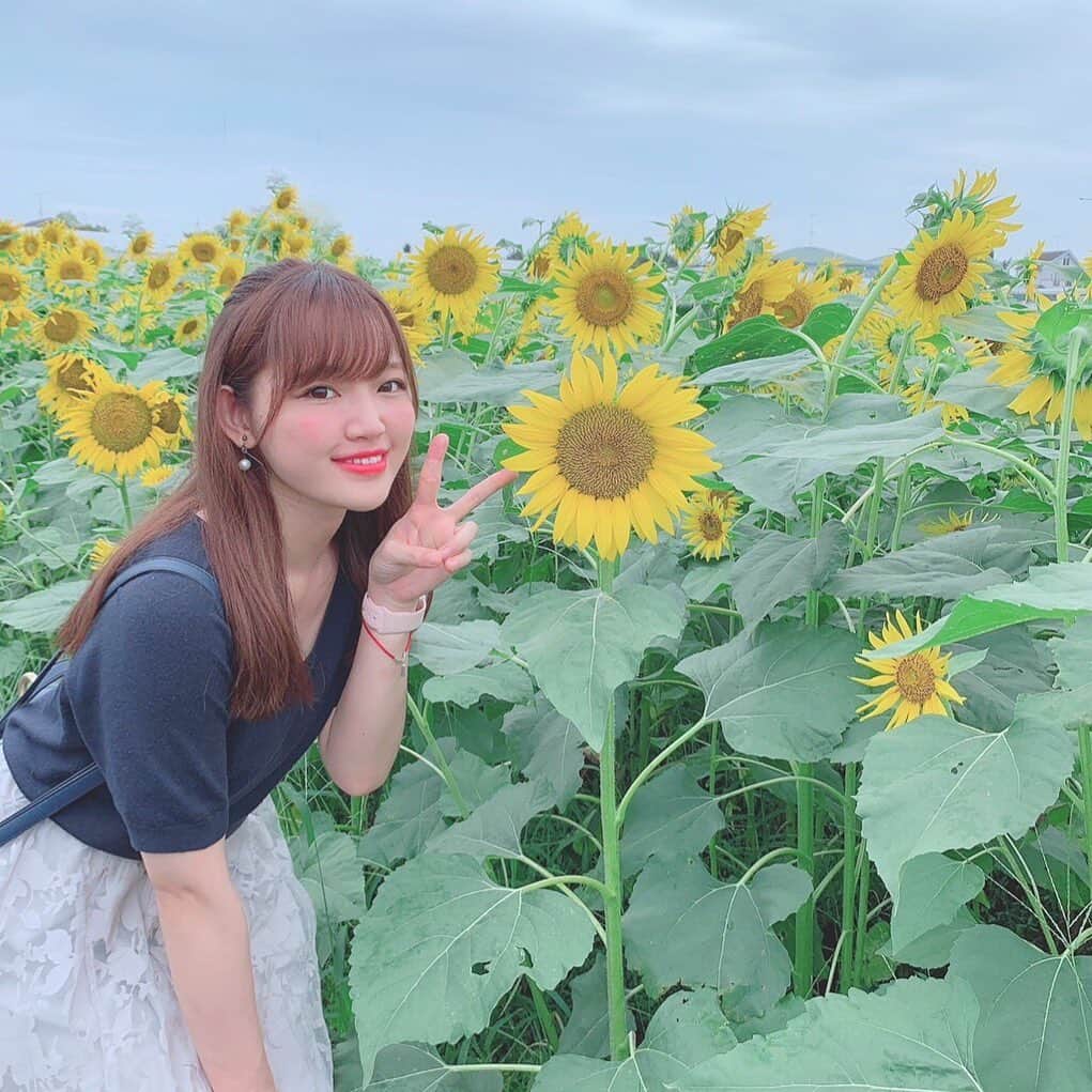 Riicoのインスタグラム：「8月も終わり… 今年の夏も ひまわりに会いに行けて幸せでした✌︎ 来年もひまわり畑に行けますよーにっ🌻 #ひまわり #ひまわり畑  #令和最初の夏」