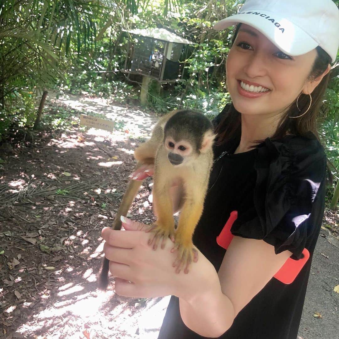 矢田亜希子のグルメインスタ