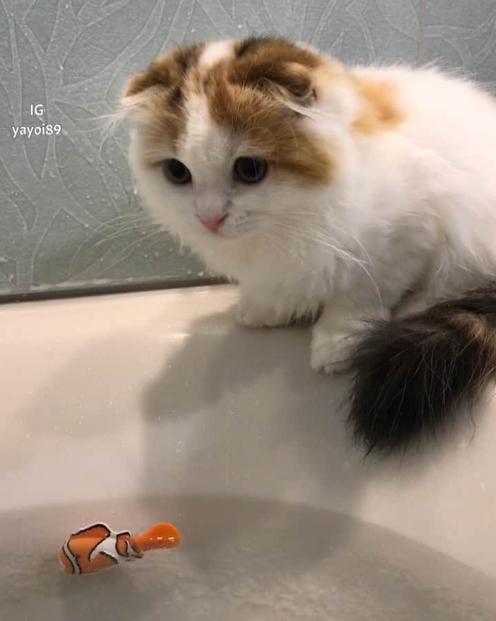 yayoi89のインスタグラム
