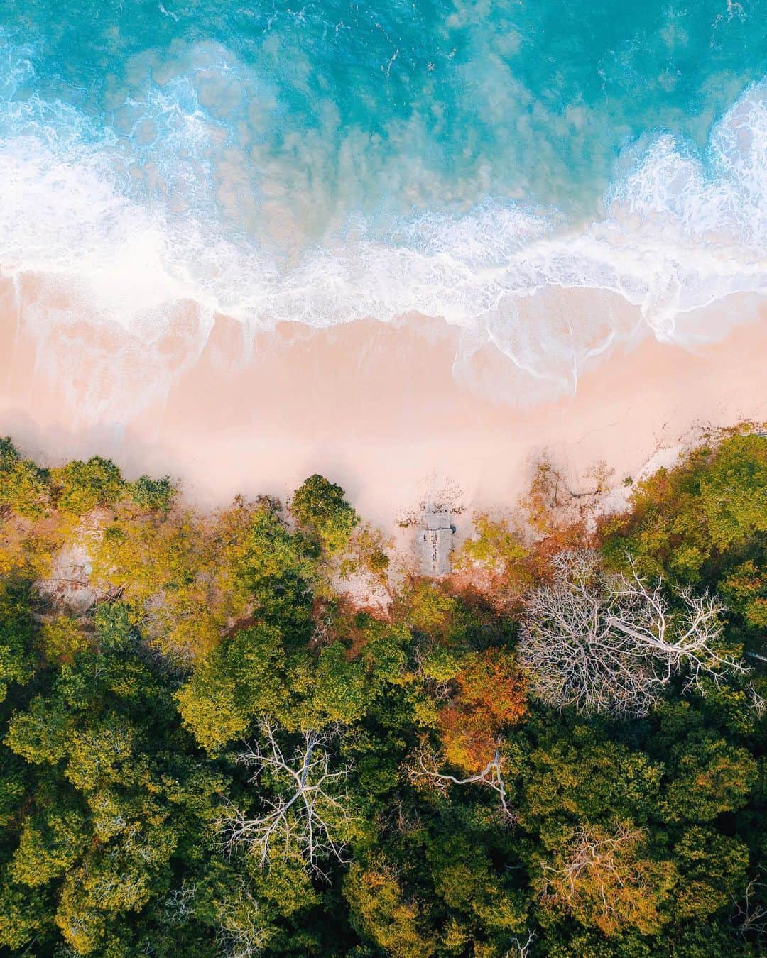 リリー＝ローズ・メロディのインスタグラム：「Somewhere above beautiful ( but dirty 😣) Java #🌳💦 #lilyinjava」