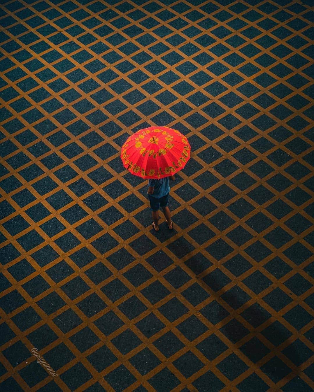 Nature|Folk|Portrait|Videoのインスタグラム：「━━━━━━━━━━━━━━━━━━━ Photo by @gypsypianist_ploiiiibz  Congratulations!  Selection by @gulperi_karademir ━━━━━━━━━━━━━━━━━━━ Team #ig_mood @unsalsicilli @humanistanbul @celilbezeng @emili35 @gizemparlak_ @gulumsedunya @semihcevval @gulperi_karademir @hakancgrn ━━━━━━━━━━━━━━━━━━━ Community @moodcommunity General Tag #moodcommunity ━━━━━━━━━━━━━━━━━━━ #ig_pics_gypsypianist_ploiiiibz」