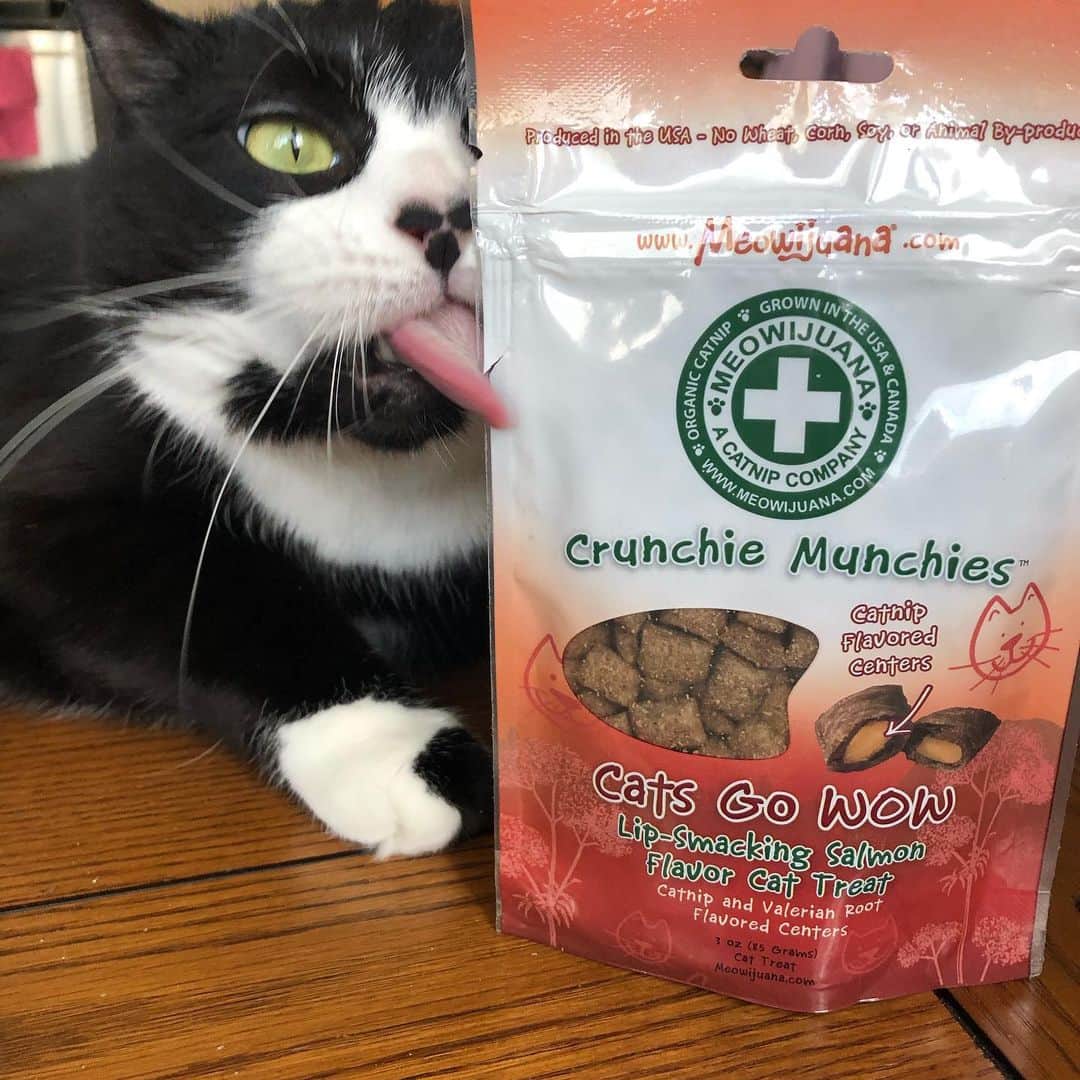 Tuxedo Cat Brosのインスタグラム：「That feeling when your favorite catnip company comes out with some new treats. 🤤 #thelastphotoisthebest #crunchiemunchies #meowijuana #meowijuanacatnipcompany」