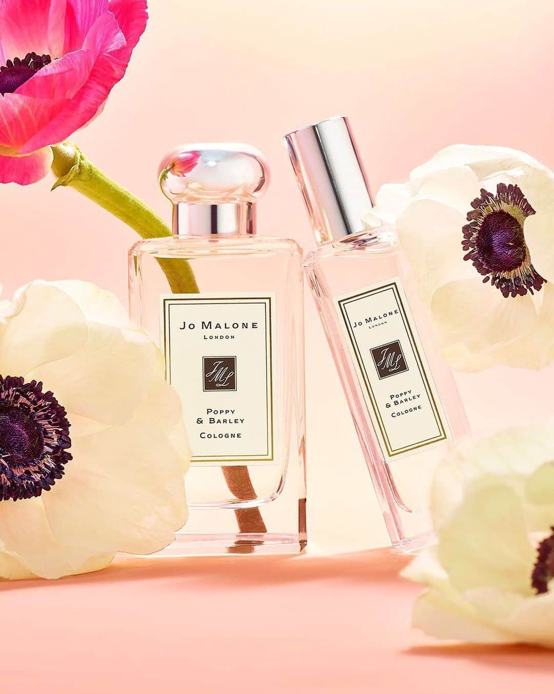 セフォラさんのインスタグラム写真 - (セフォラInstagram)「Poppy, rose, and violet, oh my 😍 We’re head over heels for the new Poppy & Barley fragrance from @jomalonelondon. Discover this lively scent of floral notes featuring woody barley and white musk, now at Sephora 💐」9月1日 1時06分 - sephora