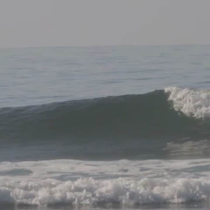サキャスティックのインスタグラム：「Kokoro! @kokoromantix 📹 @sometimes_ryan for @fahrenheitcelsiuswetsuits」